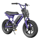 Macfox M16 Electric Bike