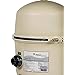 Pentair Quad DE High Flow Filter | 60 Sq Ft | 120 GPM | EC-188592