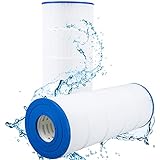 Waterway Proclean 125, 150 (2006 and prior), Sta-Rite Posi Clear PXC-125,150, open w/molded gasket