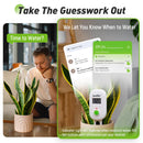 Rainpoint WIFI Soil Moisture Sensor