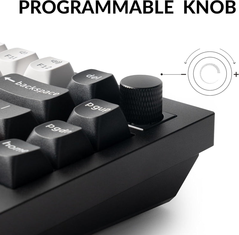 Perilla de interruptor Nebula con retroiluminación RGB intercambiable Keychron Q1 HE - Negro