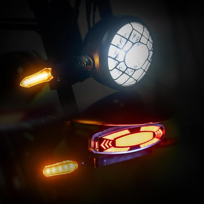 Bicicleta eléctrica de neumáticos anchos 5th Wheel Knight