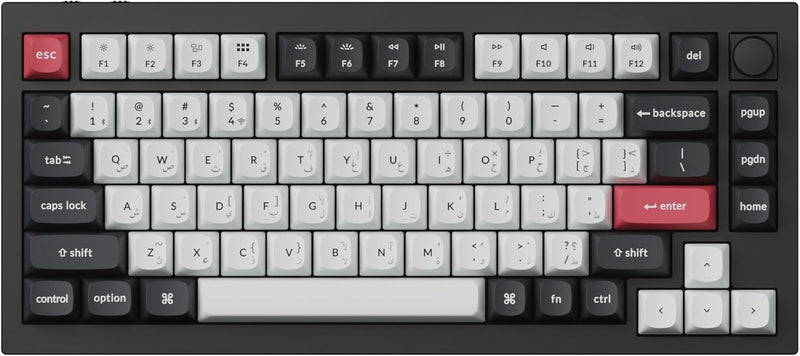 Perilla de interruptor Nebula con retroiluminación RGB intercambiable Keychron Q1 HE - Negro