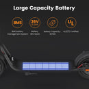 Navee V25 PRO E-Scooter