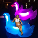 Flotador gigante con forma de cisne con luz LED Swimline