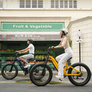 CYCROWN Roma ST All-Terrain Ebike