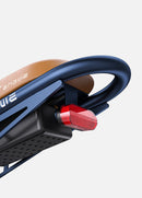 Bicicleta eléctrica ENGWE M20