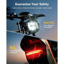 Isinwheel R6 Retro Electric Bike for Adults