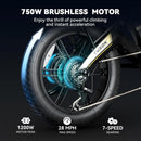 Heybike Tyson Electric Bike