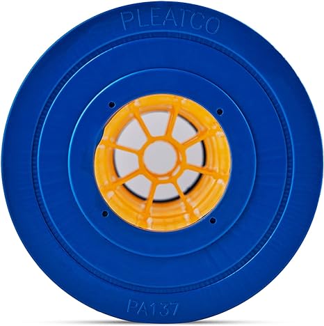 Hayward Super-Star-Clear C-5500 SwimClear C-5520 open w/molded gasket (PA137) (C-7490) (FC-1297)