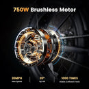 CycRun Vintage Moped Electric Bike