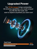 Bicicleta eléctrica ENGWE M20