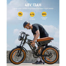 Isinwheel R6 Retro Electric Bike for Adults