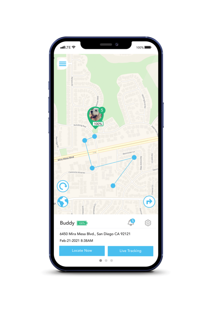 Pintrac pet best sale tracker
