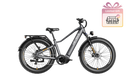 Heybike Alpha Electric Bike