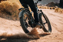 Aventon Aventure.M E-Bike