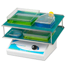 Benchmark BR5000 Everlast Rocker con alfombrilla plana