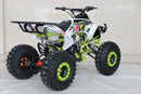 TrailMaster C125 125cc Sport ATV, Automatic with Reverse, 8-inch Wheels, Ages 9-12