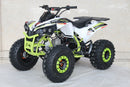 TrailMaster C125 125cc Sport ATV, Automatic with Reverse, 8-inch Wheels, Ages 9-12
