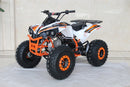 TrailMaster C125 125cc Sport ATV, Automatic with Reverse, 8-inch Wheels, Ages 9-12