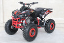 TrailMaster C125 125cc Sport ATV, Automatic with Reverse, 8-inch Wheels, Ages 9-12