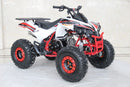 TrailMaster C125 125cc Sport ATV, Automatic with Reverse, 8-inch Wheels, Ages 9-12