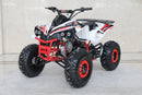 TrailMaster C125 125cc Sport ATV, Automatic with Reverse, 8-inch Wheels, Ages 9-12