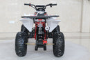 TrailMaster C125 125cc Sport ATV, Automatic with Reverse, 8-inch Wheels, Ages 9-12