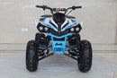 TrailMaster C125 125cc Sport ATV, Automatic with Reverse, 8-inch Wheels, Ages 9-12