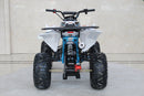 TrailMaster C125 125cc Sport ATV, Automatic with Reverse, 8-inch Wheels, Ages 9-12