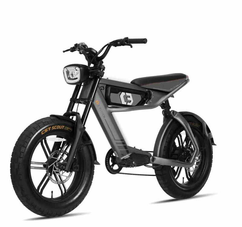 C3STROM Astro Deluxe: Class 3 Electric Bike  / Wellbots