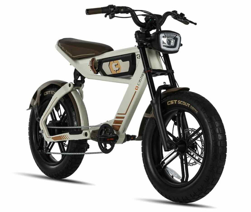 C3STROM Astro Deluxe: Class 3 Electric Bike  / Wellbots