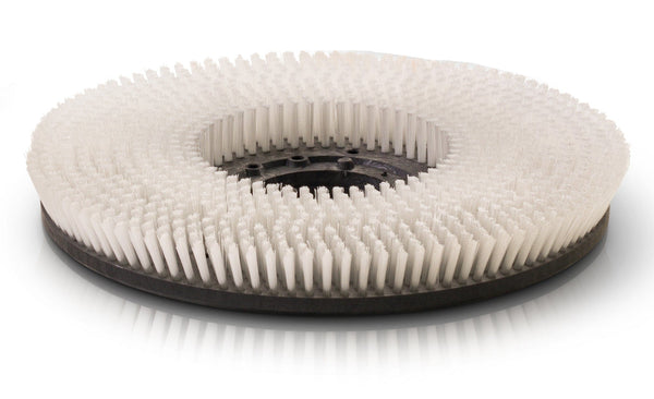 Prolux PLCFM15P20 20" White Brush - Medium Duty Carpet and Rug Brush