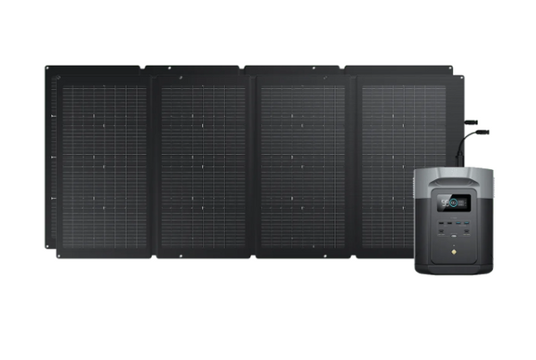 Special Bundle: Ecoflow Delta 2 Max Portable Power Station & 2 x 220W Solar Panel