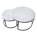 Carrara White Marble Nesting Coffee Table Round Set of 2 Polished