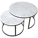 Carrara White Marble Nesting Coffee Table Round Set of 2 Polished