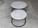 Carrara White Marble Nesting Coffee Table Round Set of 2 Polished