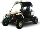 TrailMaster Challenger 300EX (EFI) UTV Side-by-Side, Shaft Drive with Independent Rear Suspension