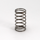 Check Valve Spring
