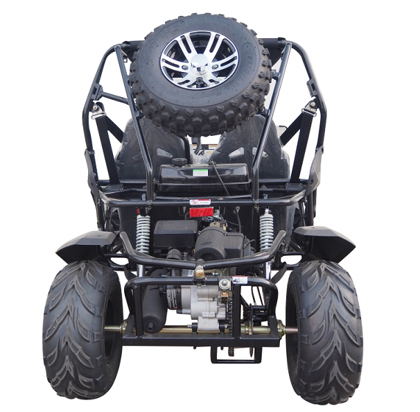 TrailMaster Cheetah 200EX EFI Go Kart CVT Automatic with Reverse, Alloy Wheels, Windshield