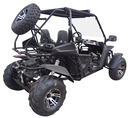 TrailMaster Cheetah 200EX EFI Go Kart CVT Automatic with Reverse, Alloy Wheels, Windshield