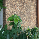 Coconut Shell Basketweave Mesh-mounted Mosaic Wall Tile - Livfloors Collection