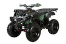 Coolster (3200U) 200cc Utility ATV, Electric Start, Automatic with Reverse, 10-inch Steel Wheels