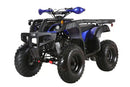 Coolster (3200U) 200cc Utility ATV, Electric Start, Automatic with Reverse, 10-inch Steel Wheels
