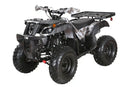 Coolster (3200U) 200cc Utility ATV, Electric Start, Automatic with Reverse, 10-inch Steel Wheels