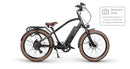 Cruiser 2.0 CPO E-Bike