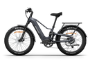 Himiway D5 2.0 eBike