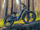 Himiway D5 2.0 ST eBike