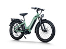 HimiwayD5 Pro ST / All-terrain Electric Fat Bike