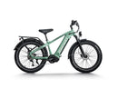 Himiway D5 Pro / All-terrain Electric Fat Bike